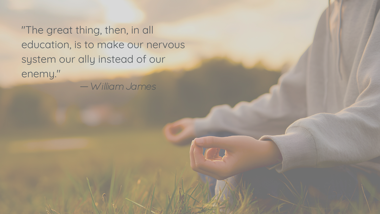 A person in a sweatshirt sitting in a meditative pose on a grassy field at sunset.