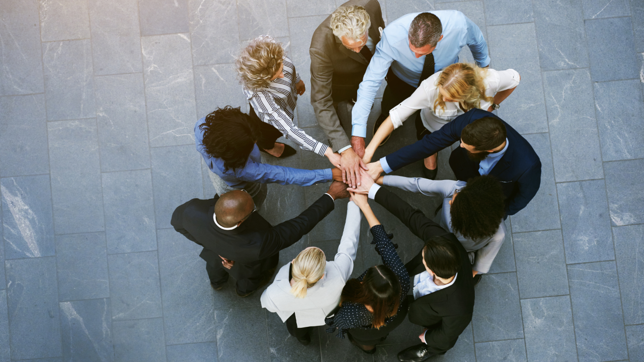 An organisaiton with people who have teamwork and collaboration