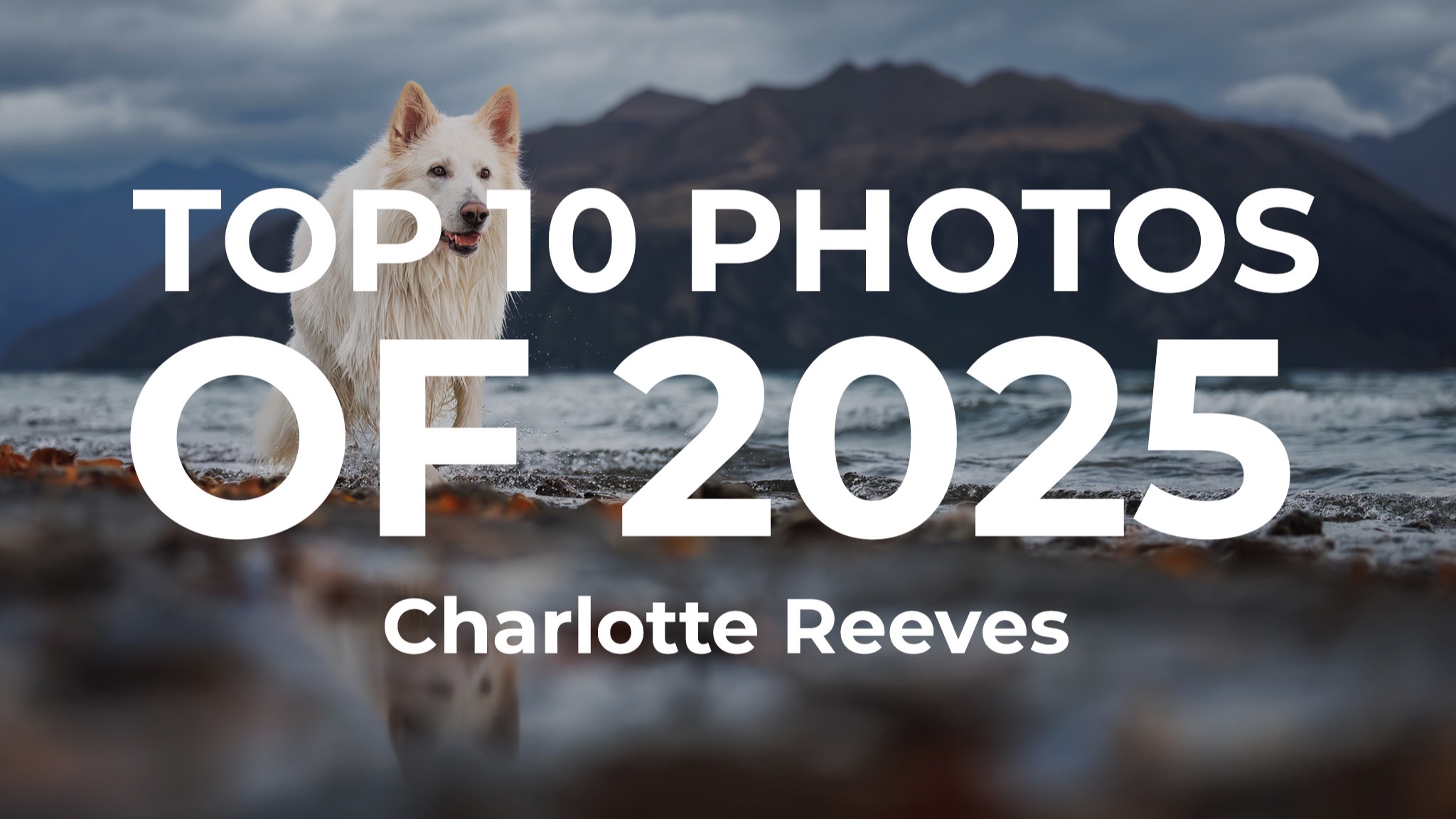 Charlotte's Top 10 Photos of 2025