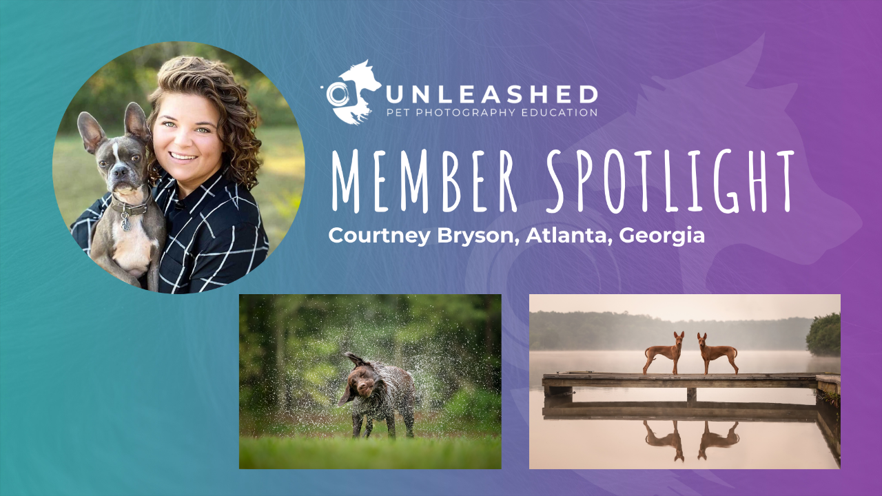 Courtney Bryson - Member Spotlight