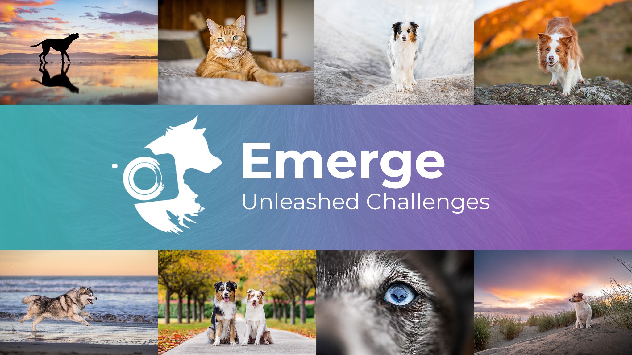 Emerge Awards 2025 Winners