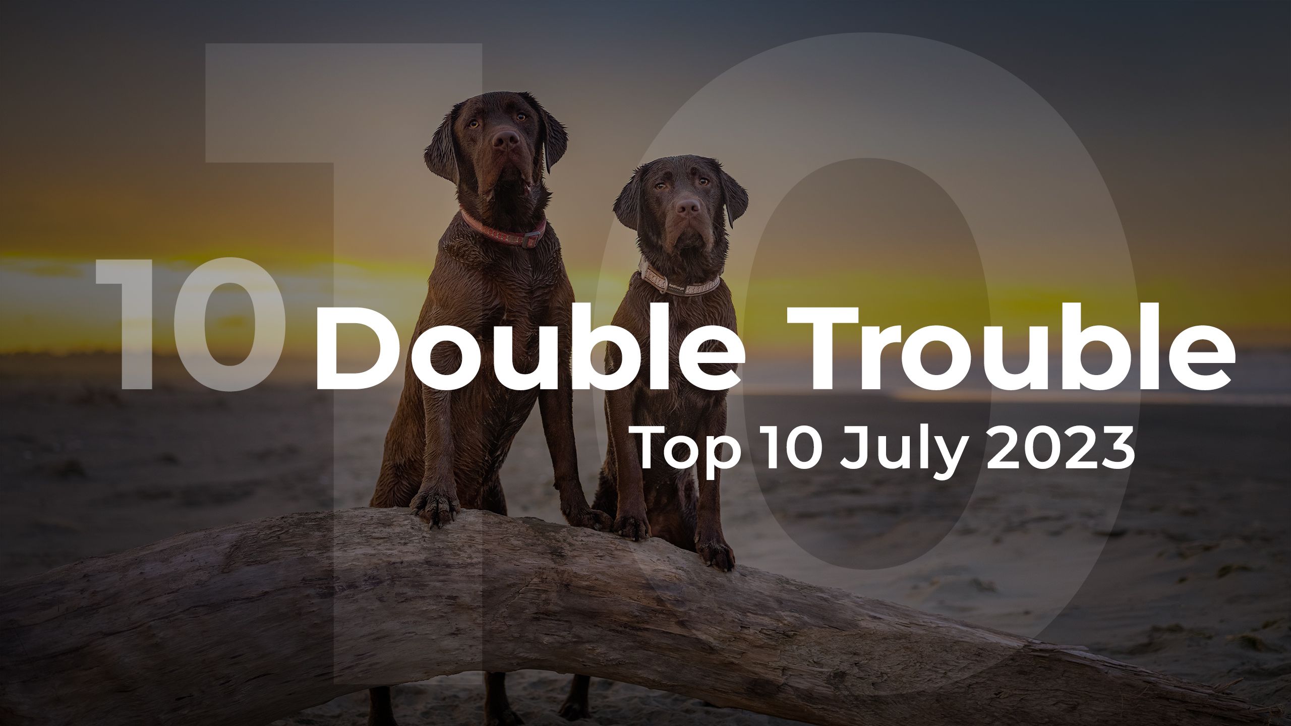 Double Trouble Top 10 July 2023