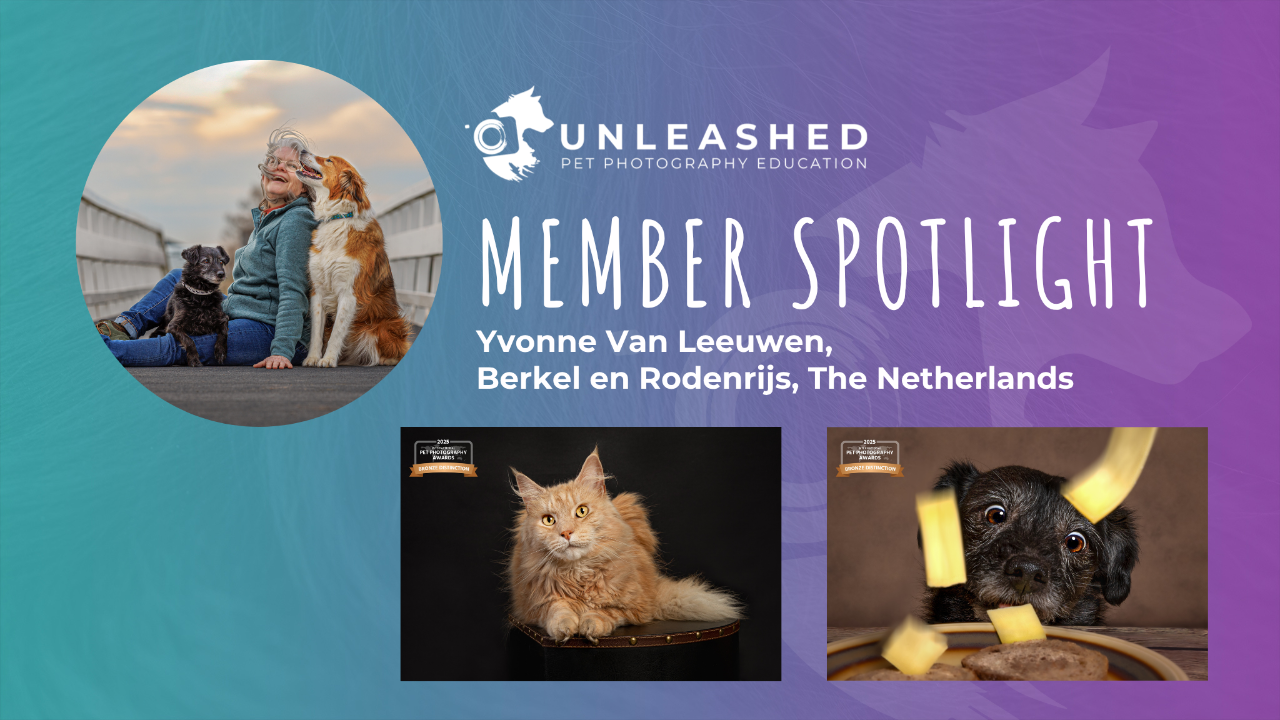 Yvonne Van Leeuwen - Member Spotlight