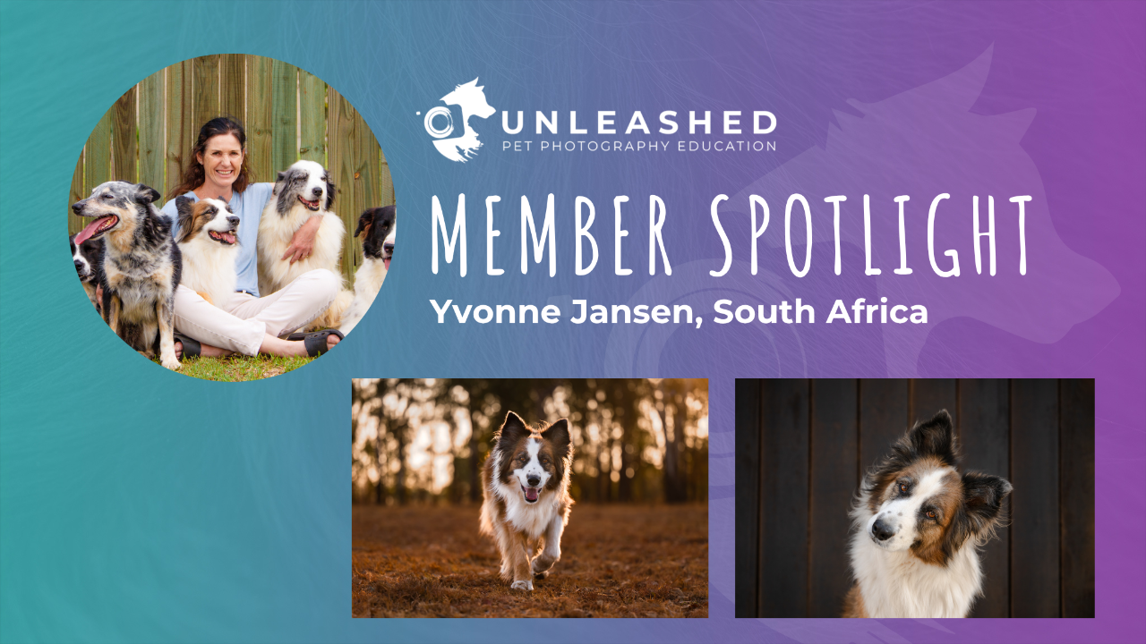 Yvonne Jansen- Member Spotlight