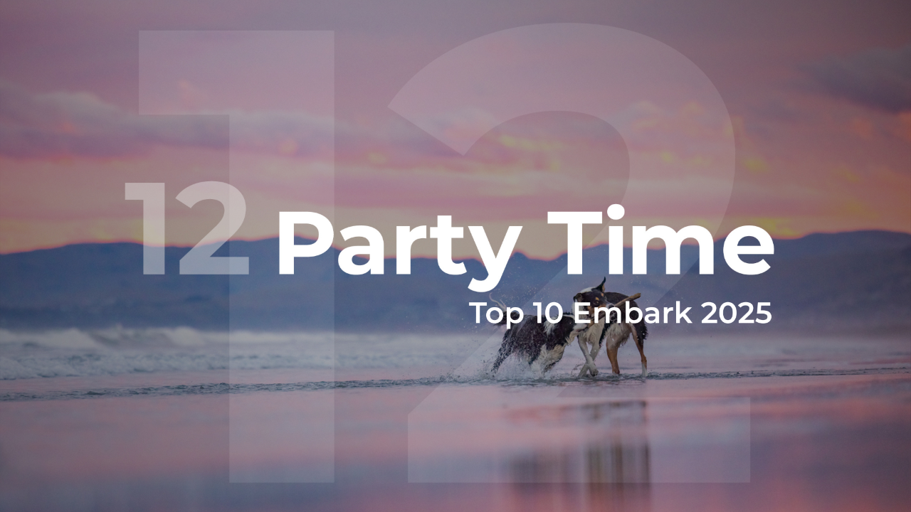 Embark 2025 Party Time Top 10