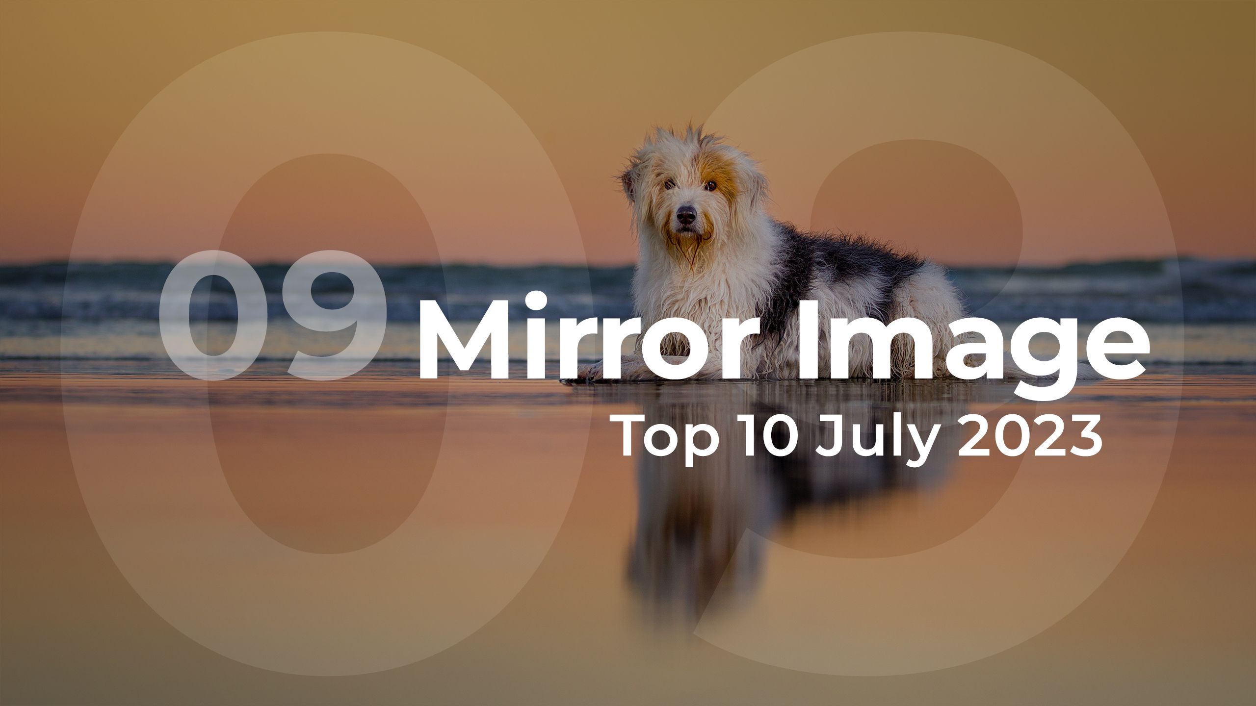 Mirror Image Top 10 July 2023