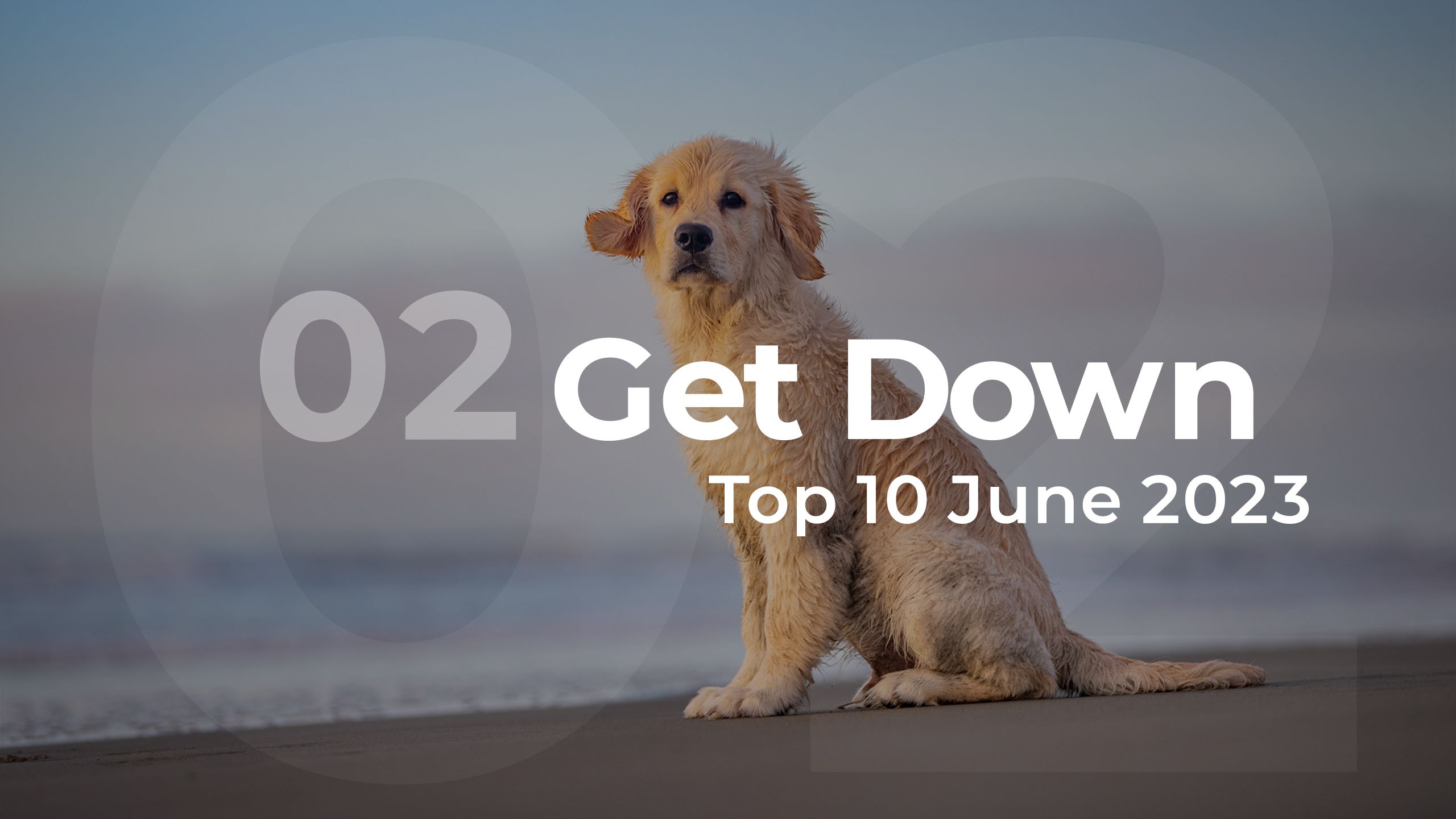 Get Down Top 10 June 2023