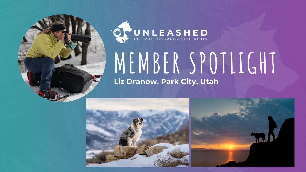 Liz Dranow - Member Spotlight