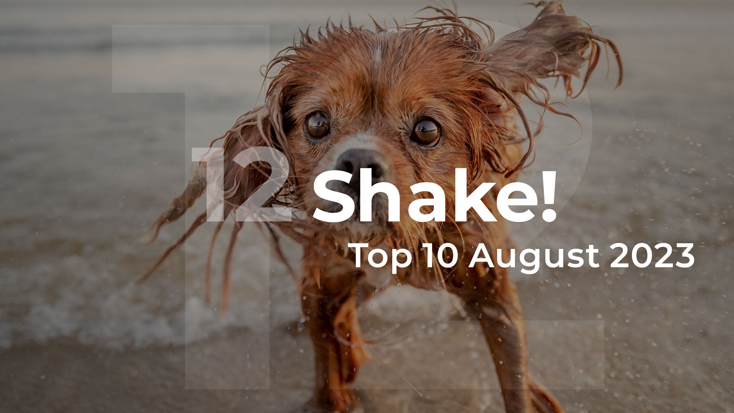 Shake! Top 10 August 2023