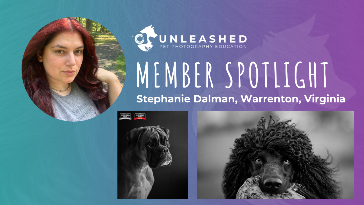 Stephanie Dalman - Member Spotlight