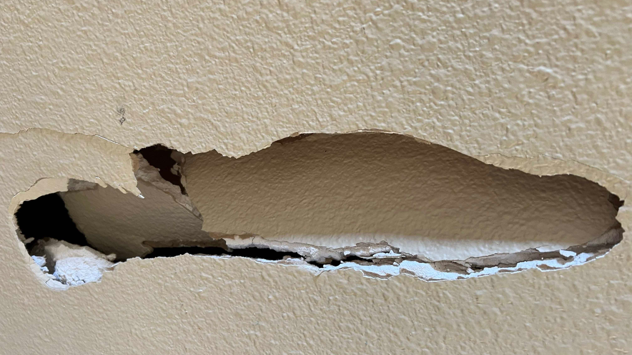 autism proof reinforced drywall