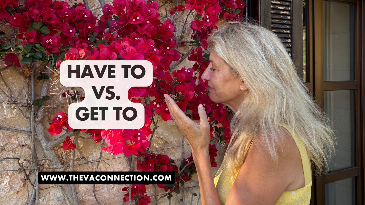 The VA Connection: Have to Vs. Get to