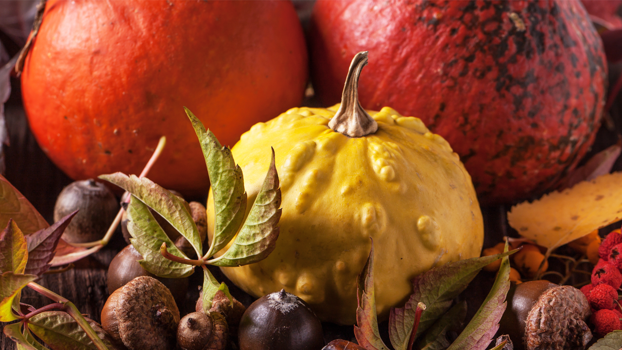Festively-arranged pumpkins, acorns, and leaves.