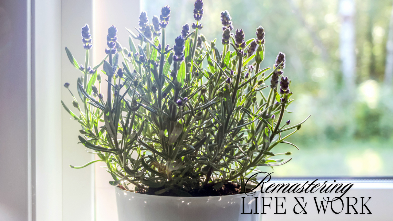 Purple Spring Flowers