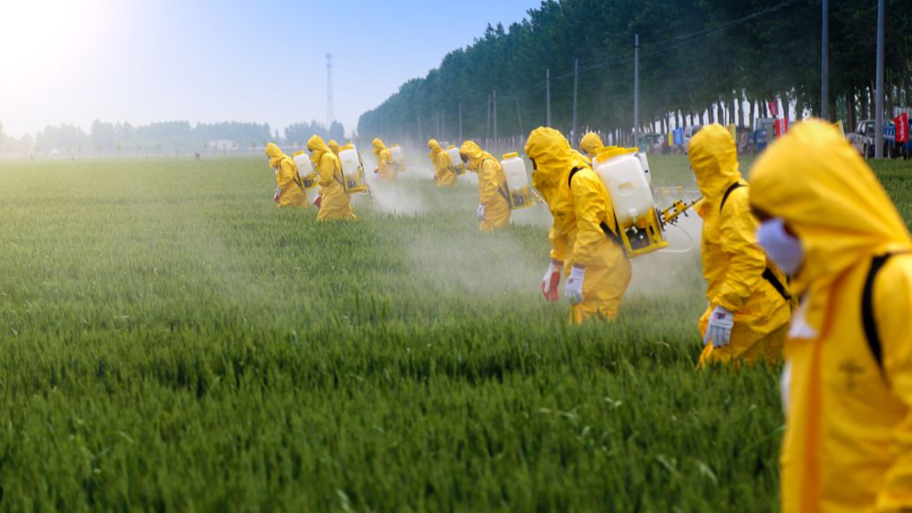 pesticides being sprayed on crops