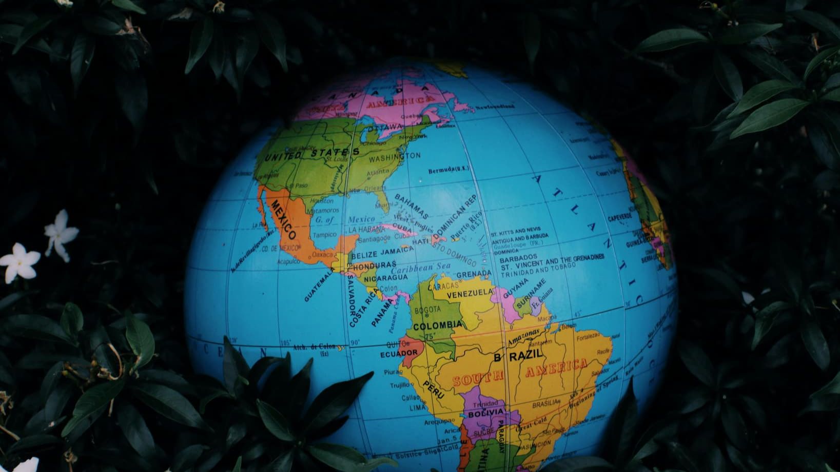 globe partially hidden in foliage symbolising a world in tension and transition