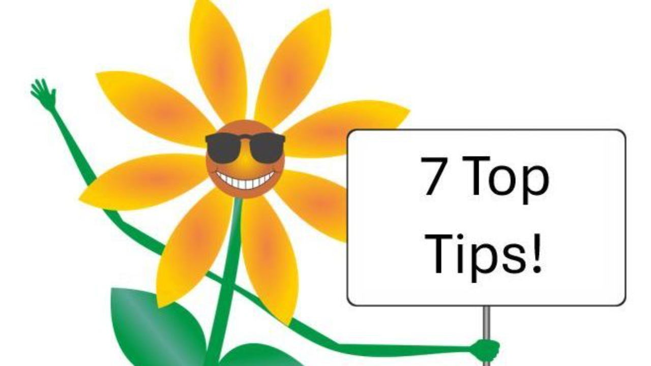 7 Top Tips to Creating Your Compelling Vision