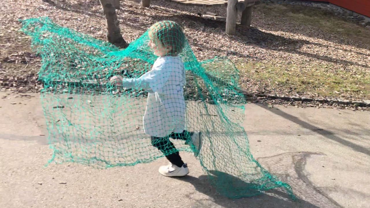 PE Central for Kindergarten