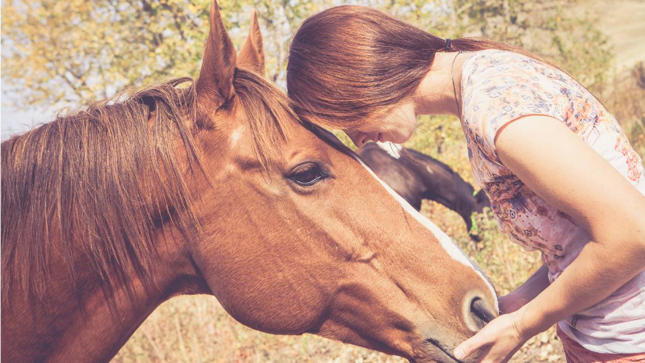 Dr. Nikki Cohen Reconnecting with Your Inner Self San Diego