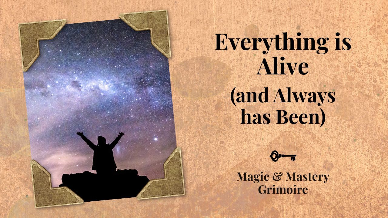 A silhouetted figure raises their arms beneath a star-filled sky, symbolizing the shamanic view that everything in the universe is alive and conscious.