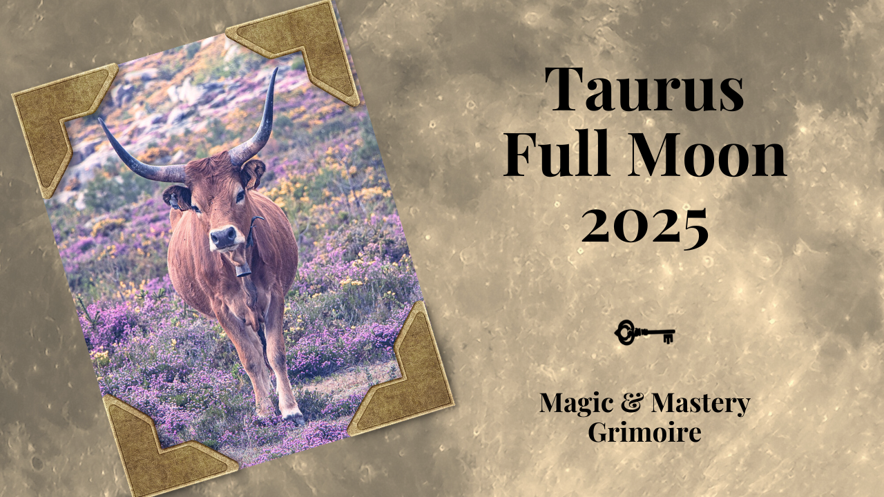 Taurus Full Moon 2025 cover image for Magic & Mastery Grimoire blog post. A strong brown bull stands in a purple wildflower field beneath soft golden light, framed with vintage leather photo corners on a moon-textured background. Text reads ‘Taurus Full Moon 2025 — Magic & Mastery Grimoire.’ Symbol of grounded strength, patience, and stability during Taurus Full Moon.