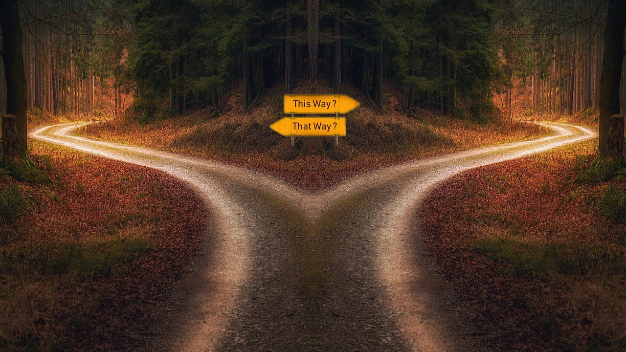 choice, crossroads, business, growth, journey