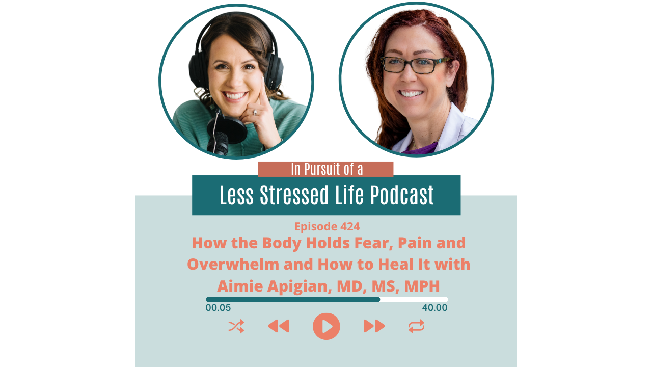Podcast cover are featuring Christa Biegler and Dr. Aimie Apigian: Episode 424 How the Body Holds Fear, Pain and Overwhelm and How to Heal It with Aimie Apigian, MD, MS, MPH