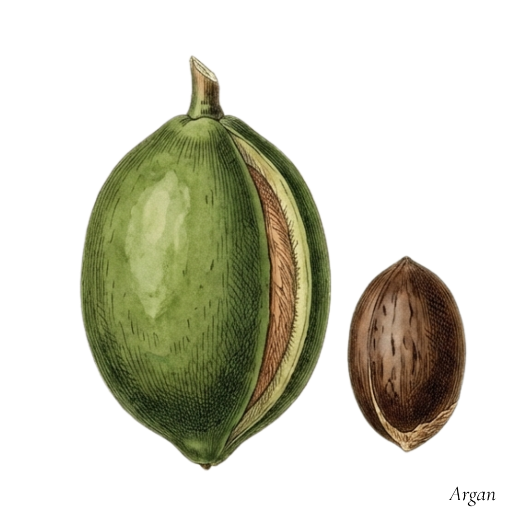 Arganolie koudgeperst