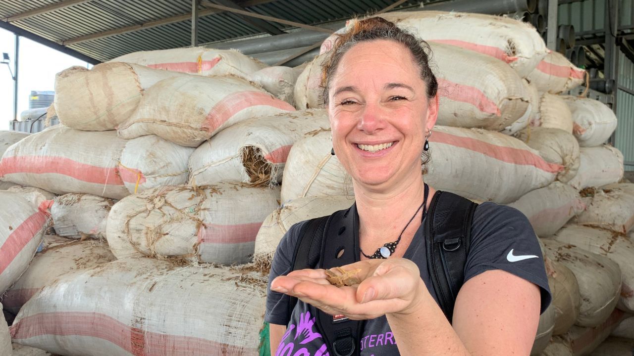 Léanne van helio bij de duurzame destillatie van kaneel etherische olie in Kenia 