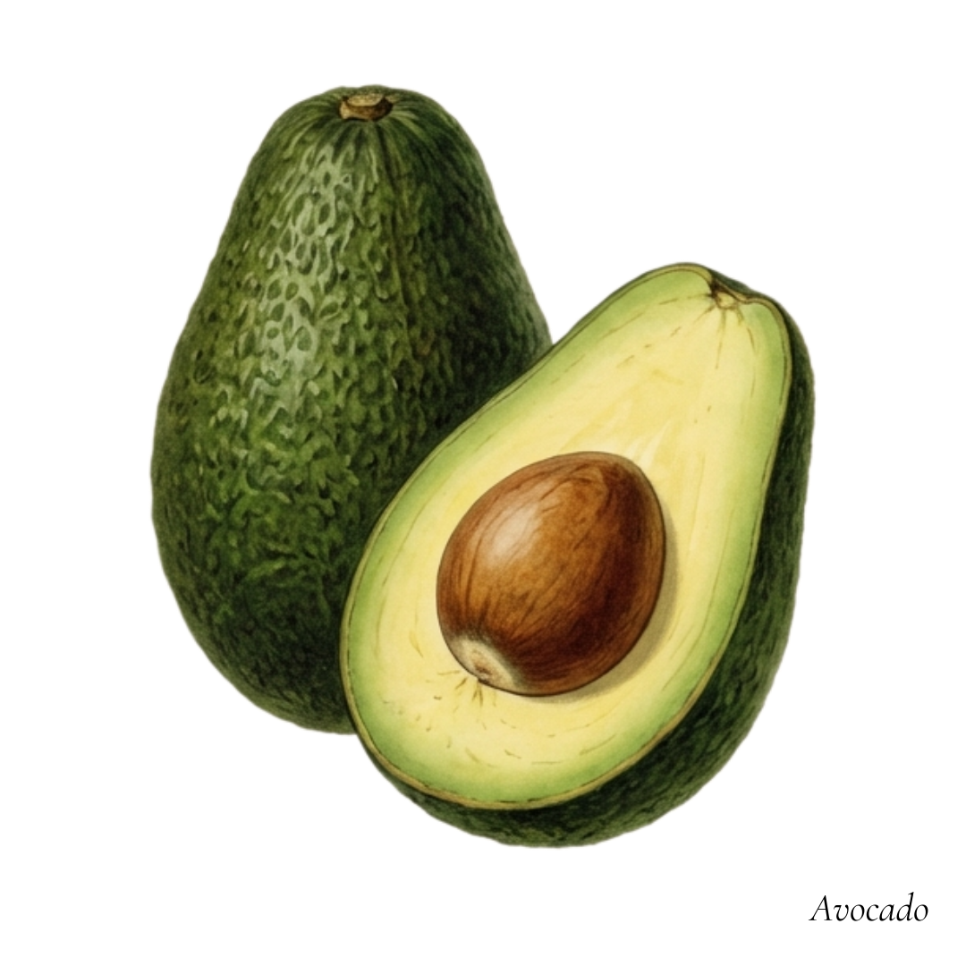 Avocado-olie koudgeperst