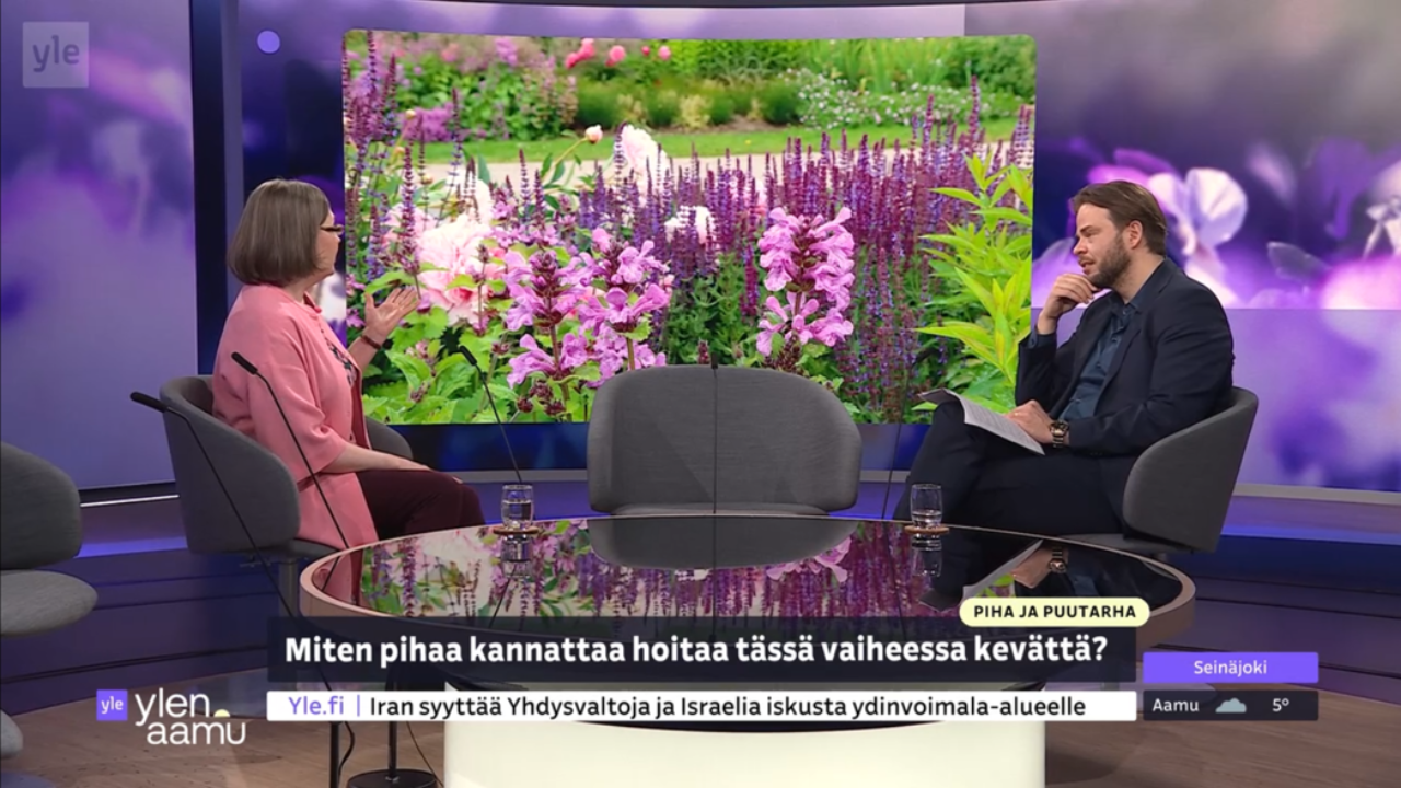 Gardening and Garden Design on TV, and Why This Matters for Your Garden Too