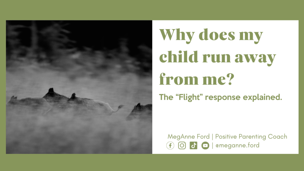 Blog 5.15 What does a “flight” response look like? | Positive Parenting Coach MegAnne Ford