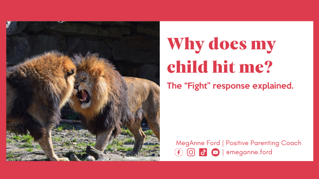 Blog 5.14 What does a “fight” response look like? | Positive Parenting Coach MegAnne Ford