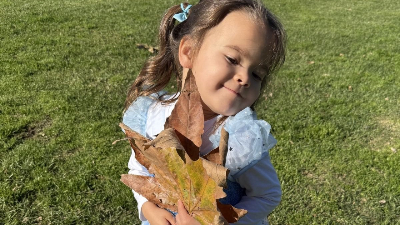 Three-year-old girl holding autumn leaves, smiling softly in a park