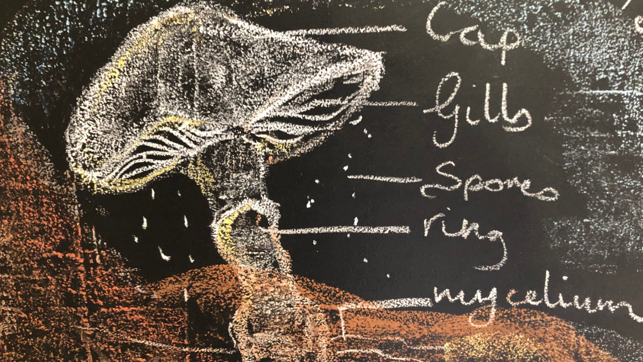 What is a Waldorf Main Lesson Block?