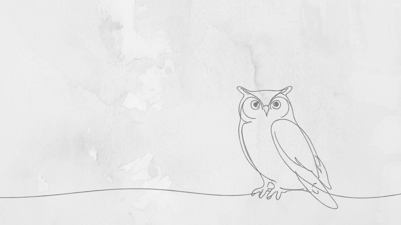 Pöllö symboloimassa viisautta kirjassa Sydämellä ja strategialla – merkityksellisen ja kannattavan yrittäjyyden ajattelu