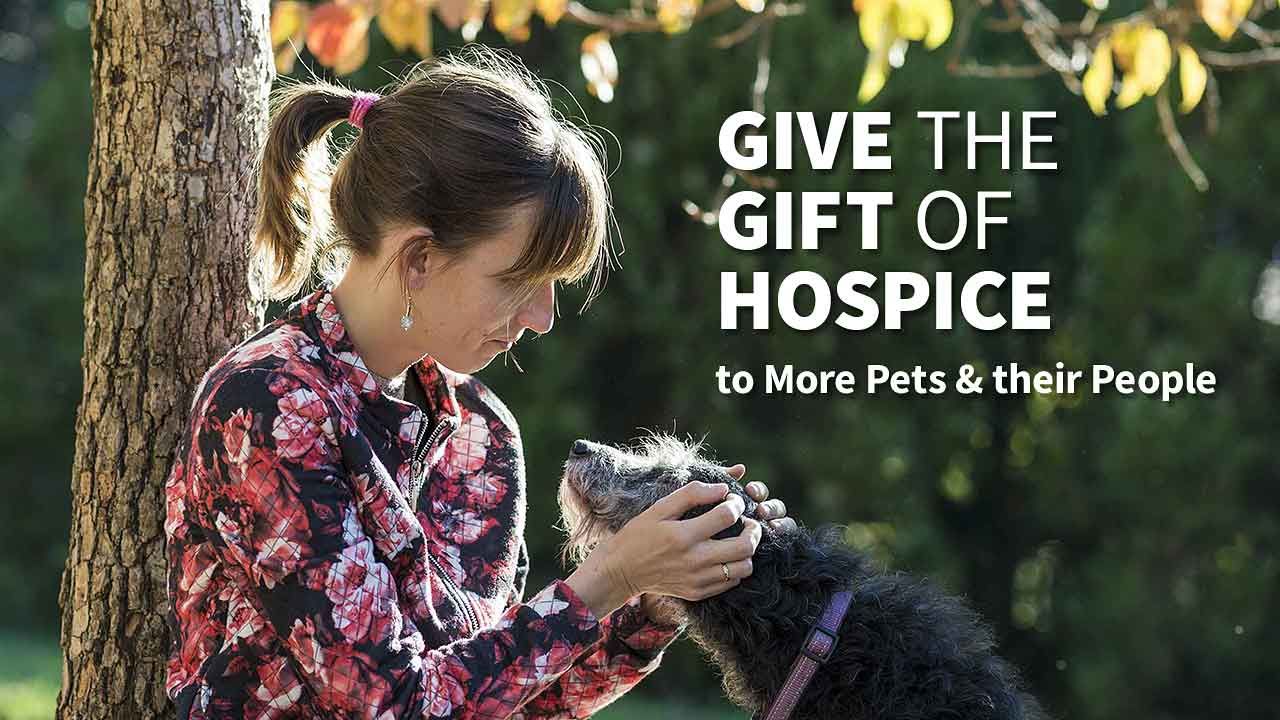 Animal Hospice Group - Donate to Support the Animal Hospice Group!