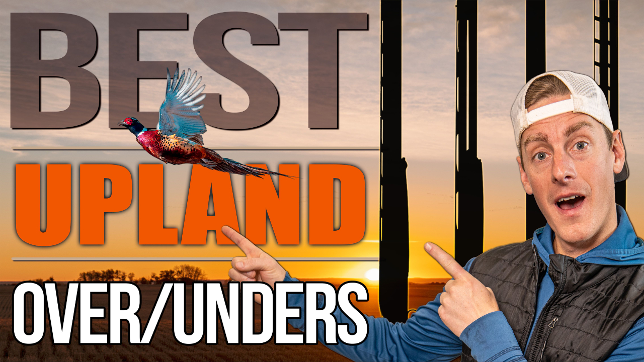 Best Upland Over Under Shotguns