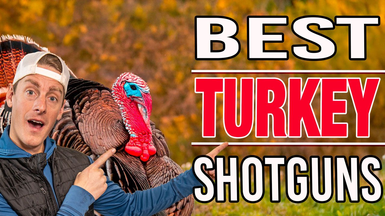 Best Turkey Shotguns of 2025