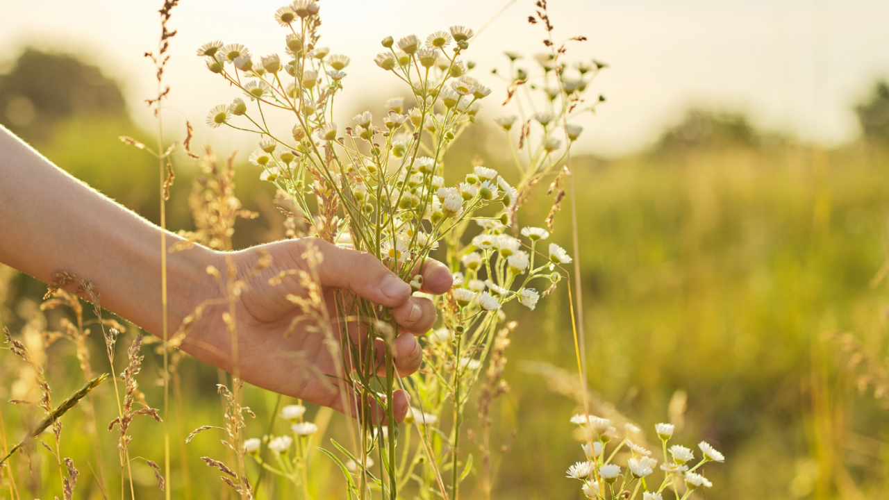 The Beautiful Side of Entrepreneurship: My Story of Love & Growth