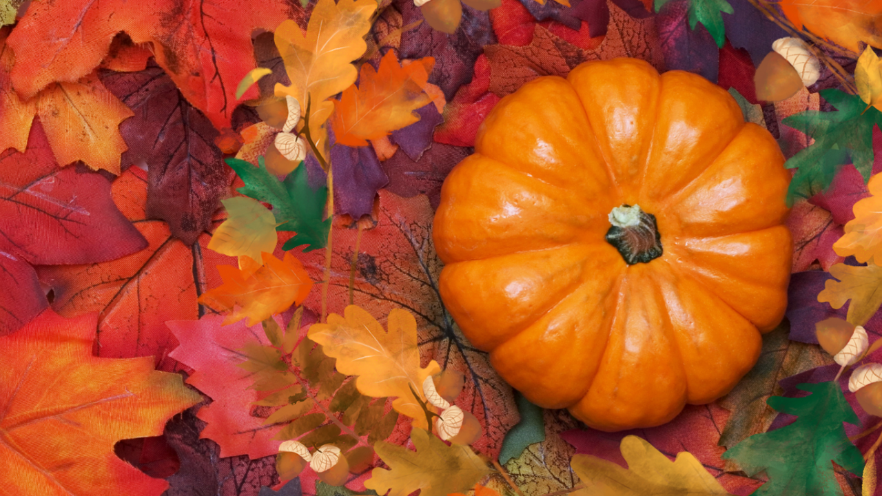 🍁 18 Super Meaningful DIY Thanksgiving Crafts to Create Lasting Memories