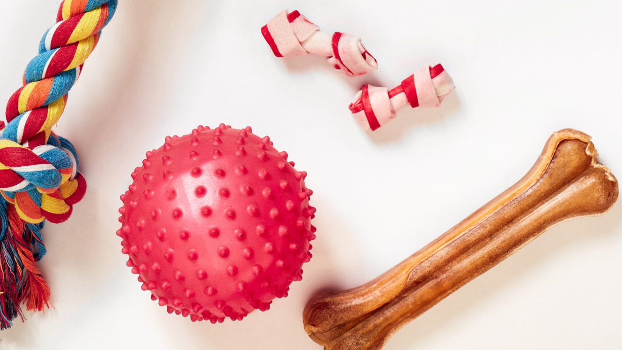 Zoomies to Zen: Dog Toys That Actually Help the Mind 🎾💛