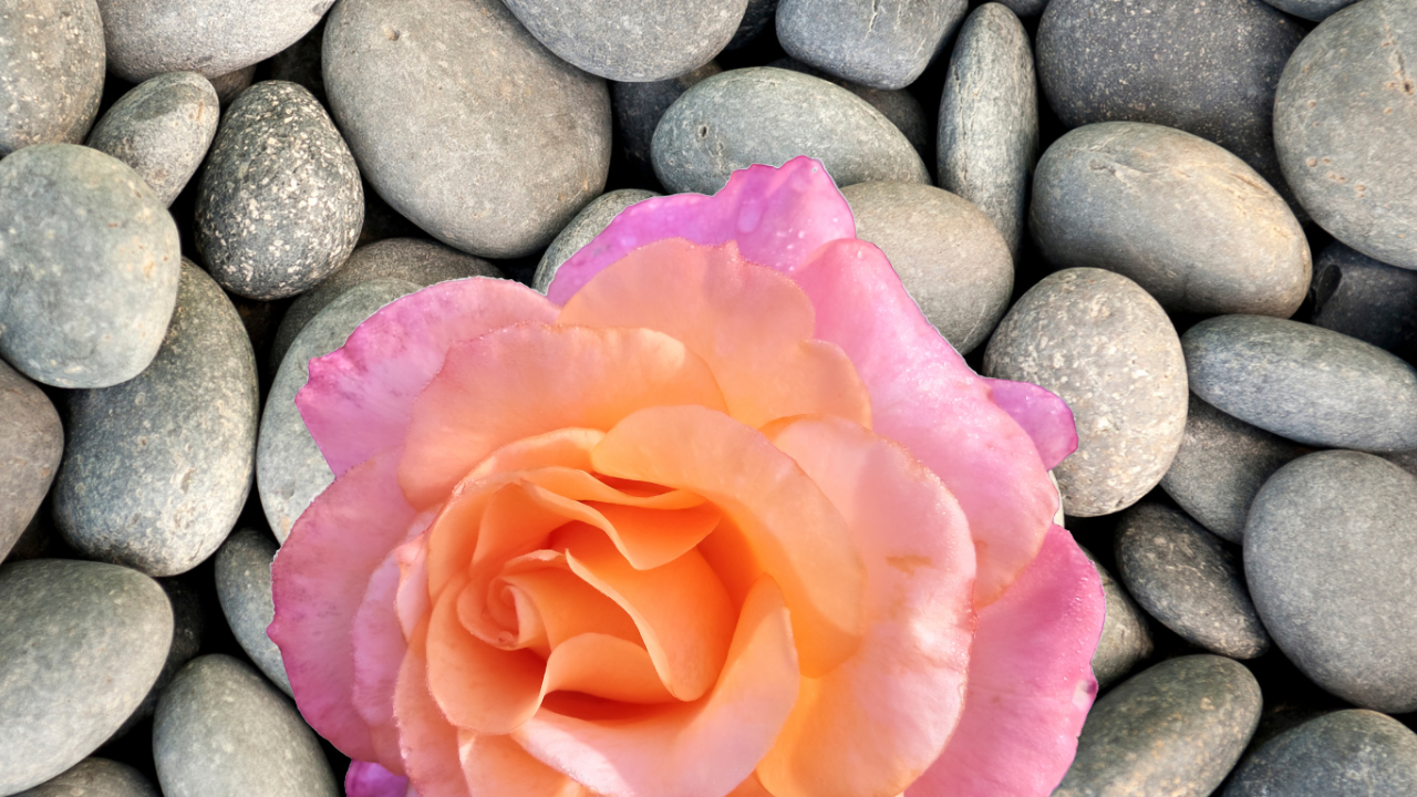 DIY Gratitude Garden Stones for Kids & Family 