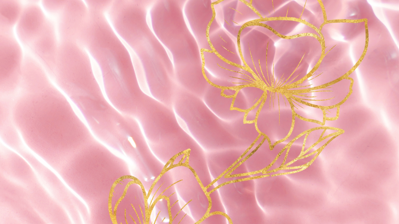 💖 Let’s Check the Numbers: How Much a Membership Can Really Make