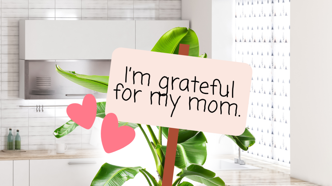 DIY Thankful Tabletop Garden 🍂🏡: A Heartwarming Thanksgiving