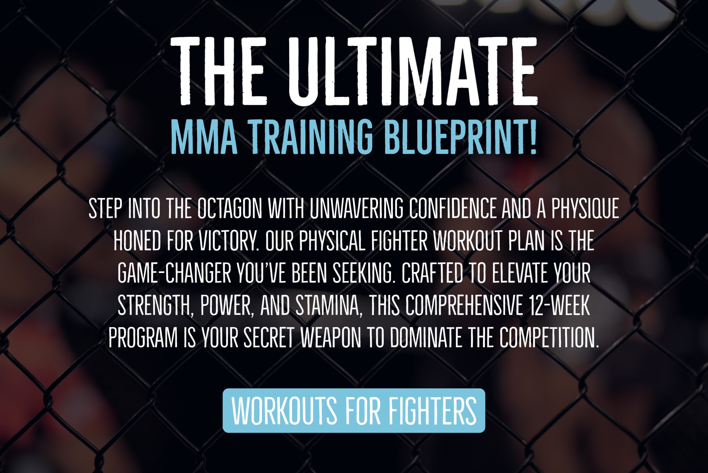 Best Exercises For MMA: Up Your Skills & Dominate The Ring