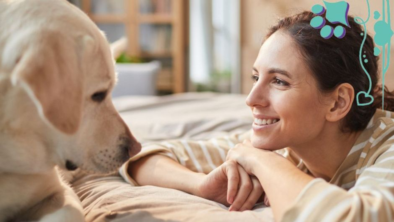 A woman and a yellow lab looking each other in the face, dog training, dog shows, conformation dog show, conformation dog training, dog seminars, conformation seminar, wagalicious, Sandy Weaver