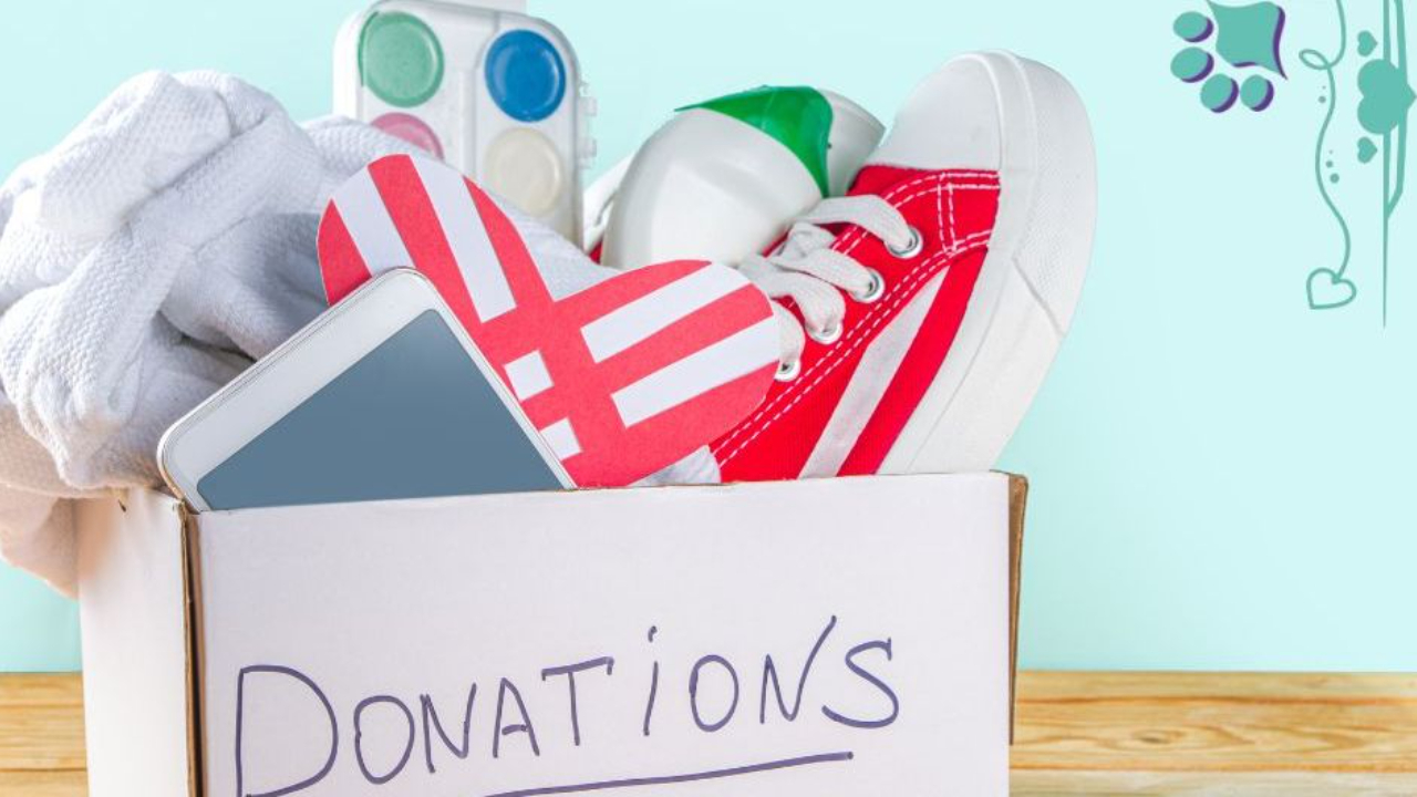 A box of items to be donated, giving Tuesday, Sandy Weaver, conformation, dog training, conformation training, conformation seminars, AKC dog show