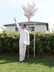 Big Windmill Qi Gong