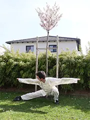 Dancing Crane Qi Gong